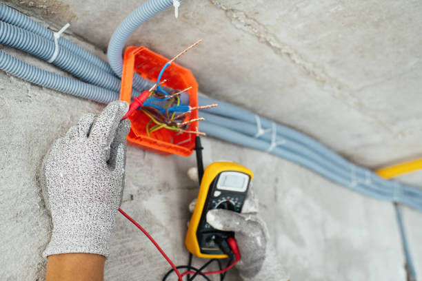 Best Ceiling Fan Installation Electrician  in Norwood, PA